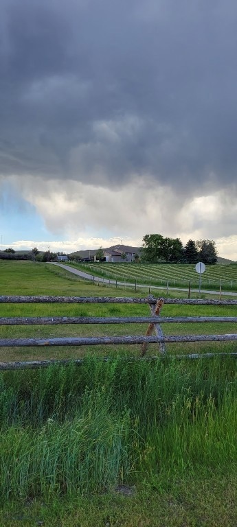 Montana summer