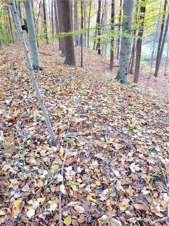 1070-1071 E Mohican Trail, Fugit Township, IN 47240 - photo 2