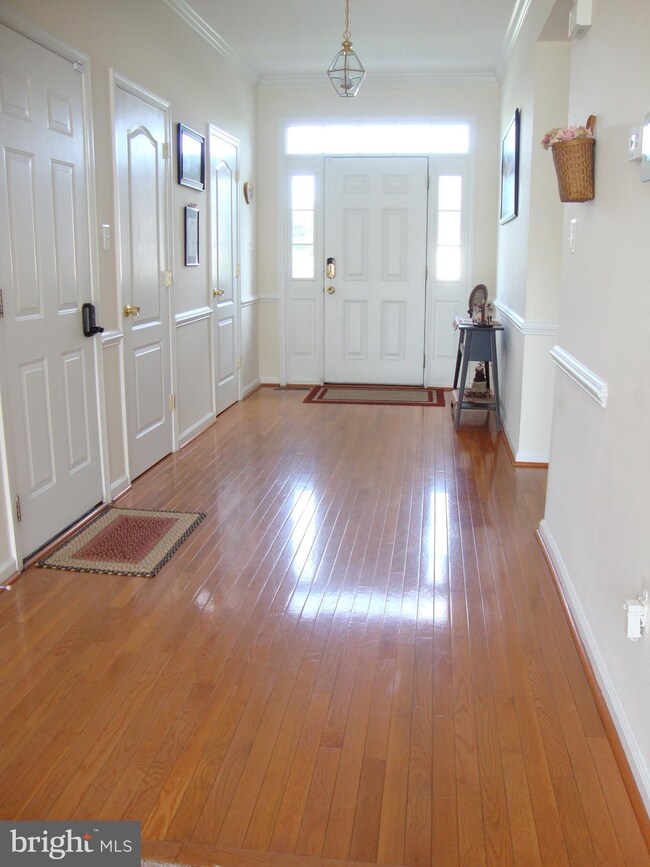 104 Cheltenham Dr, Stephens City, VA 22655 - photo 2
