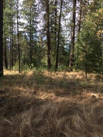 234 Eagle Dr, Chewelah, WA 99109 - photo 2