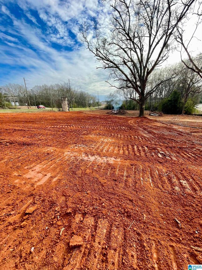 0 Haynes St unit 1 21423976, Talladega, AL 35160 - photo 3