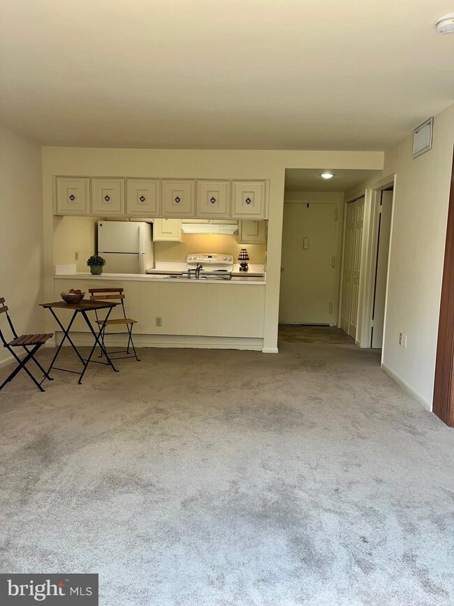 3406 Chiswick Ct unit 471D, Silver Spring, MD 20906 - photo 7