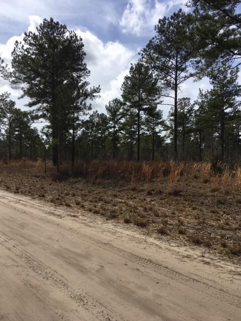 Lots 104 Colonial Coast Cir NE, Townsend, GA 31331 - photo 2