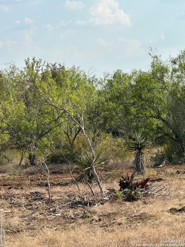 5894 Fm 1107 Unit B-Tract 1, Stockdale, TX 78160 - photo 3