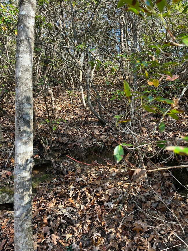 5 Hendon Rd, Graysville, TN 37338 - photo 5