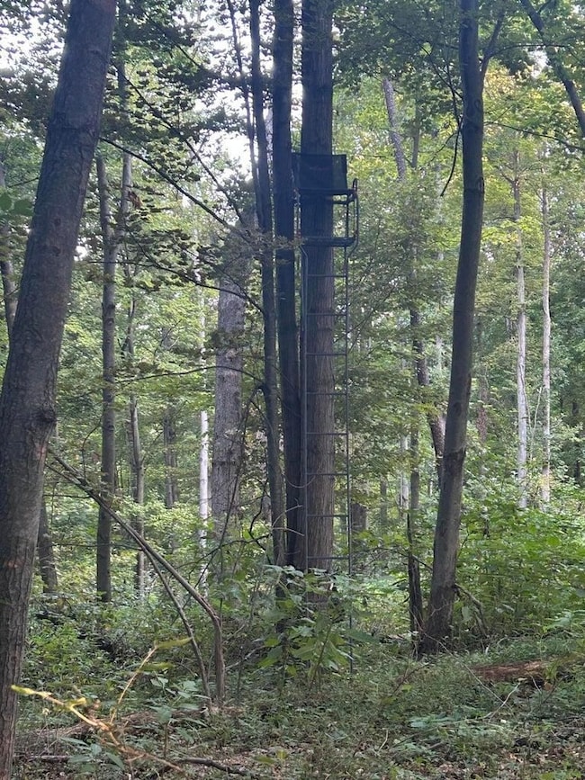 11500 Goose Lake Rd, Jonesville, MI 49250 - photo 3