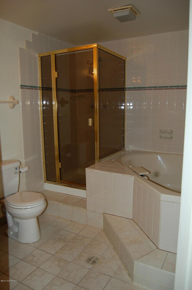 Owner suite bath with shower and jetted