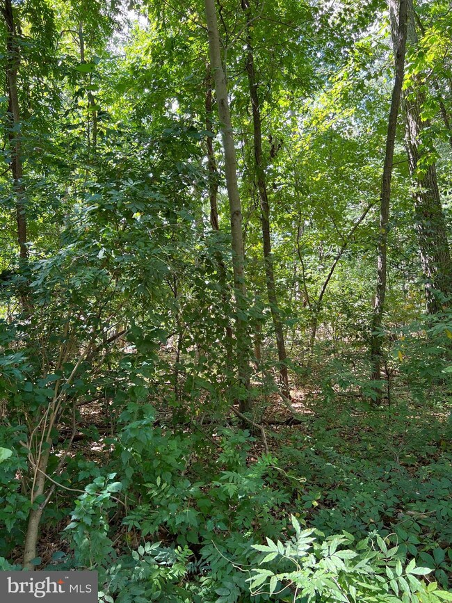 0 Boston Ave unit NJGL2022156, Williamstown, NJ 08094 - photo 4