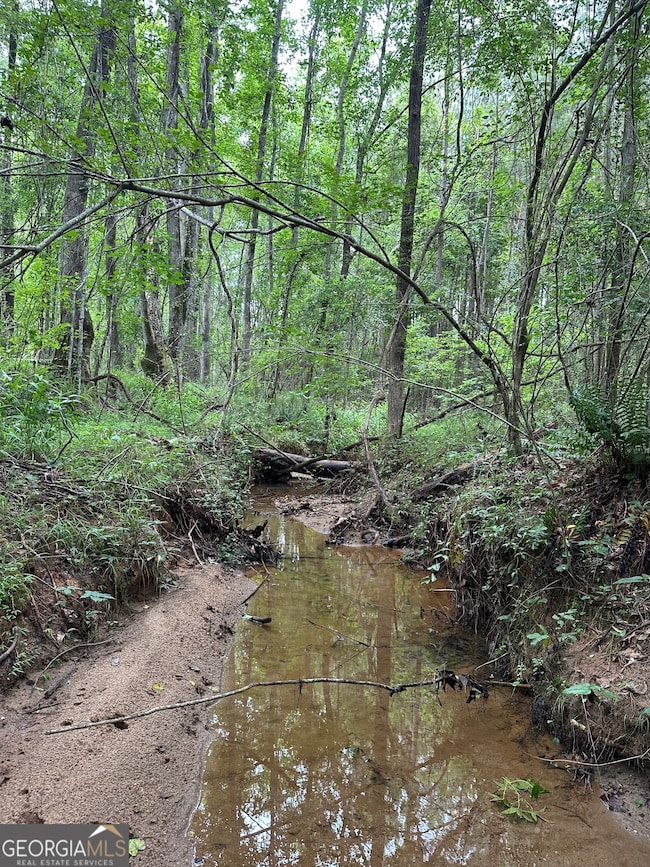 0 Waterview Dr unit 10554814, Lagrange, GA 30240 - photo 5
