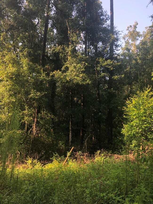 0 280th St unit 942810, Branford, FL 32008 - photo 3