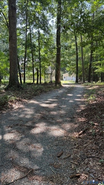 1625 King William Woods Rd, Midlothian, VA 23113 - photo 4