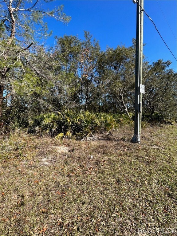 6883 W Merrivale Ln, Homosassa, FL 34446 - photo 6