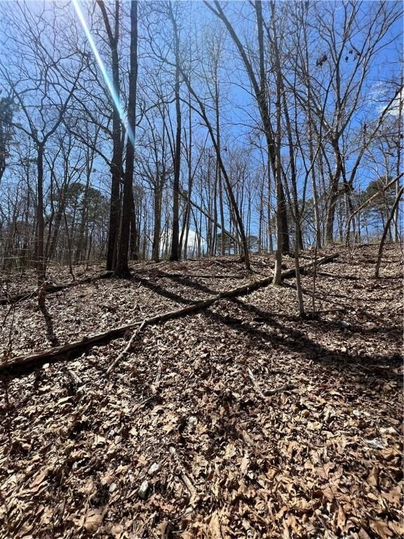 0 St Austell Dr unit 1214972, Bella Vista, AR 72714 - photo 4