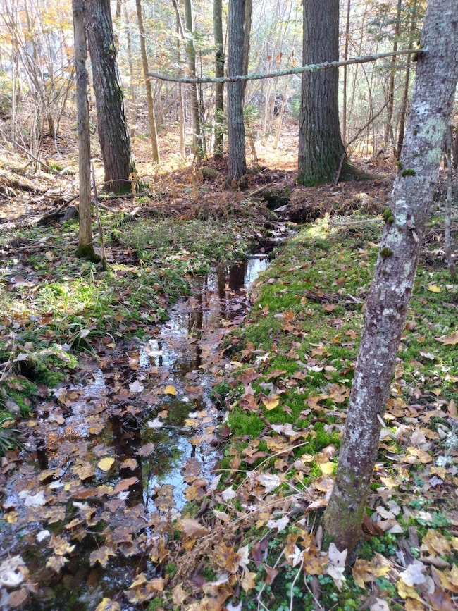 21-8 Raven Ln, Fryeburg, ME 04037 - photo 6