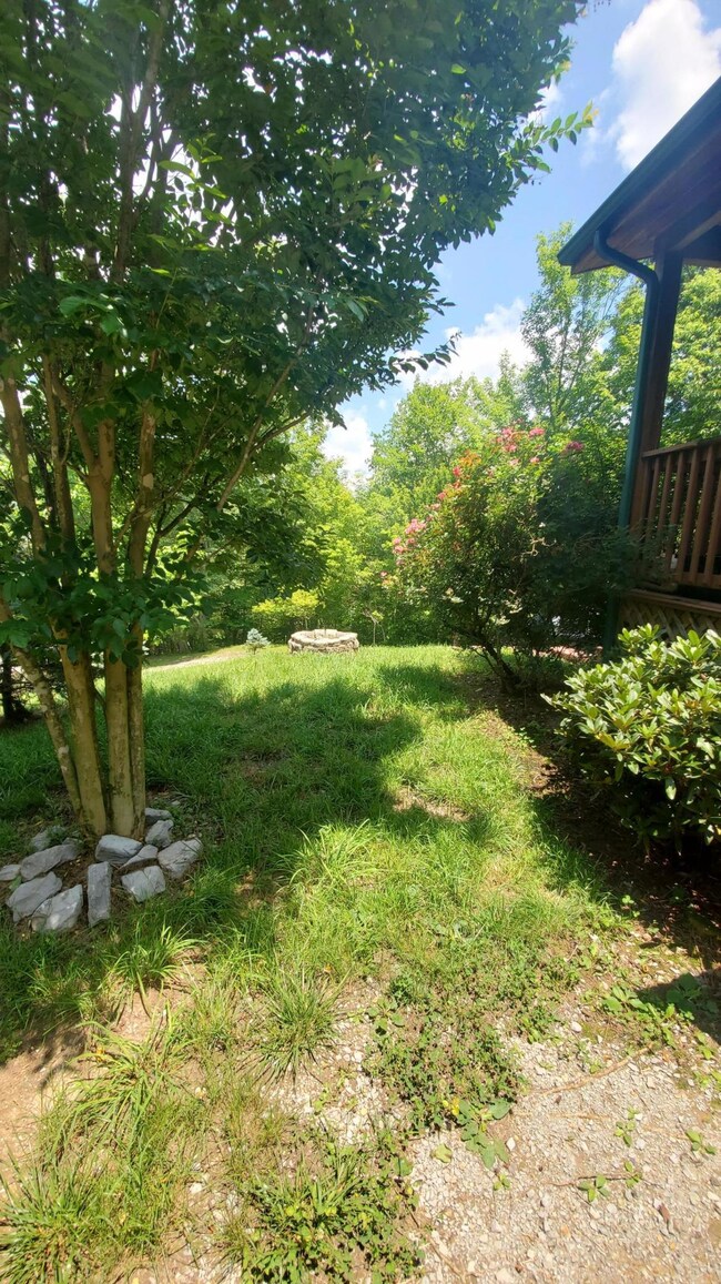 front yard