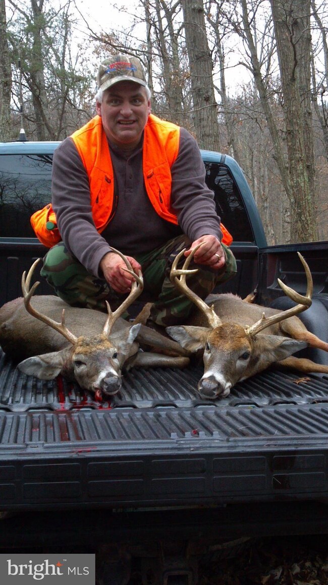 24 Trough Rd, Moorefield, WV 26836 - photo 2