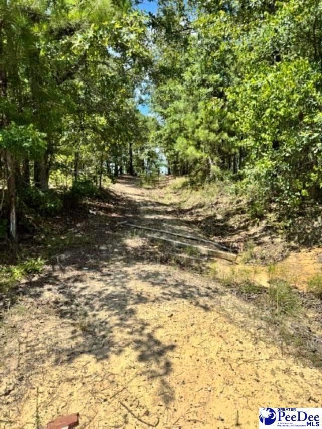 TBD Sailclub Rd (Tm#064) State Rd S-13-674, Hartsville, SC 29550 - photo 3