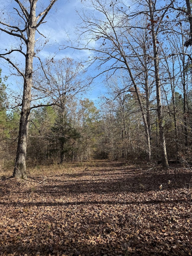 3141 Rdebuck Rd, Preston, MS 39354 - photo 3