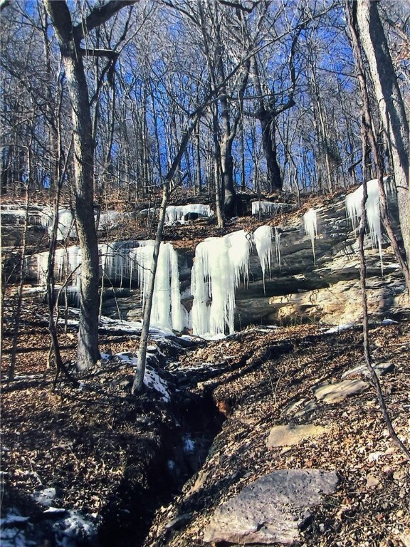 0 Tbd Tract 4 Dam Site Loop, Garfield, AR 72732 - photo 6