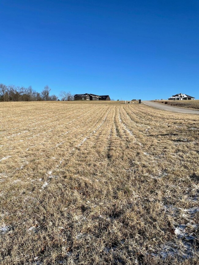 2 Songbird Cir, Nixa, MO 65714 - photo 4