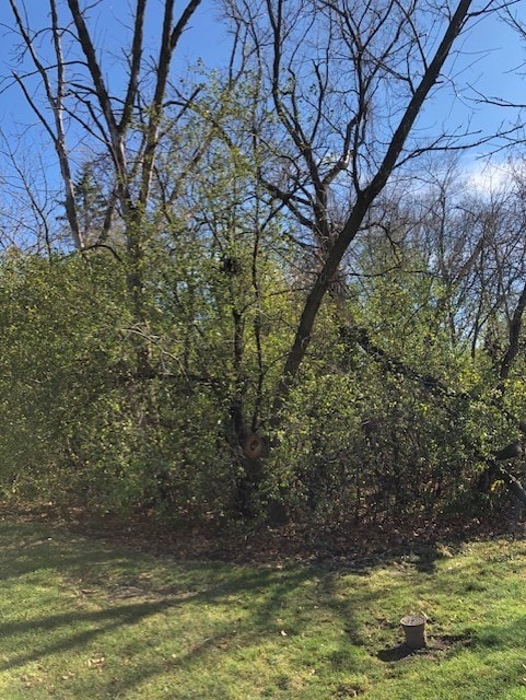 6503 Clarendon Hills Rd, Willow Brook, IL 60527 - photo 2