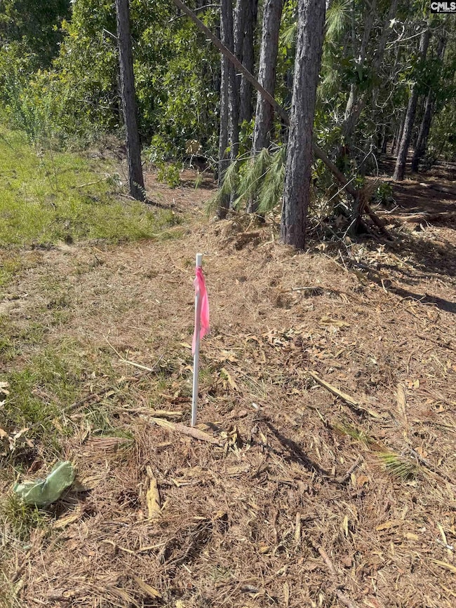 KF 2 State Road S-28-354 unit KF 2, Kershaw, SC 29067 - photo 3