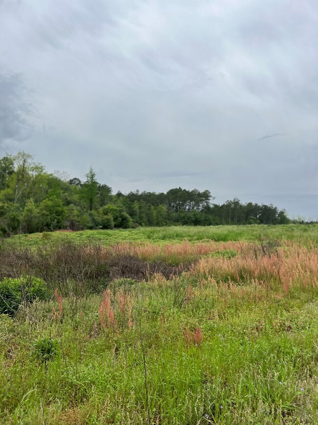 0 Eastman Paulk Rd, Ambrose, GA 31512 - photo 3