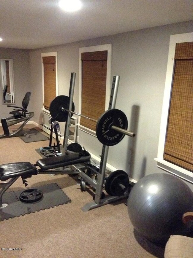 Gym Room or Rec Room