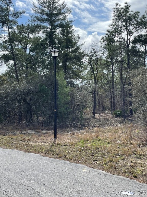 18 Heuchera Ct E, Homosassa, FL 34446 - photo 7