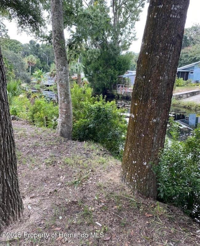 6432 Finance Ave, Weeki Wachee, FL 34607 - photo 6