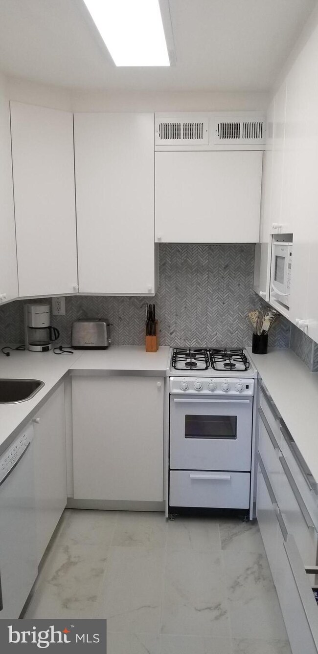 Tiber Island unit N-410, Washington, DC 20024 - photo 3