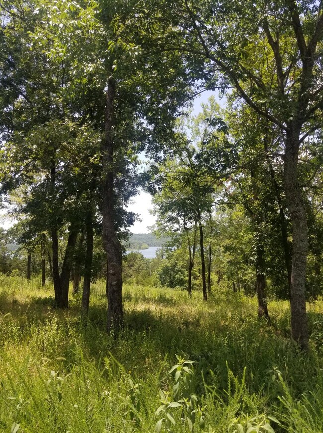 Tbd Summer Rd, Ruth B Rural Township, MO 65686 - photo 3