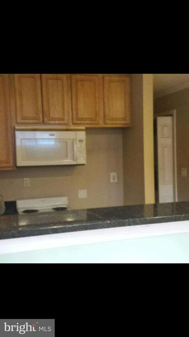 4202 Grant St NE unit 101, Washington, DC 20019 - photo 6