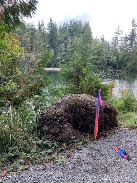 1693 Pebble Beach Trail, Bellingham, WA 98226 - photo 7