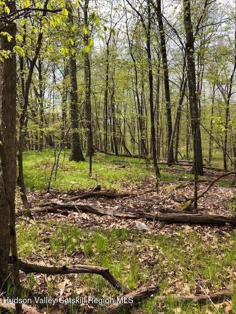 TBD Lily Lake Rd, Highland, NY 12528 - photo 3