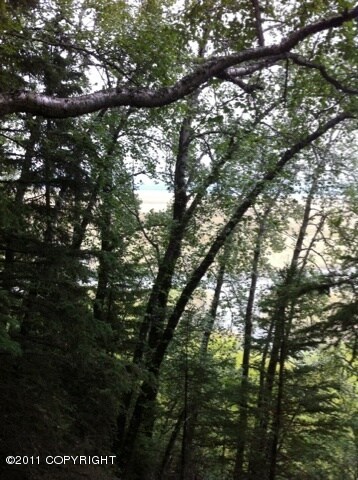 Trees