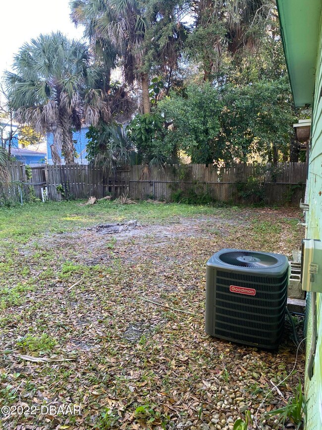 IMG_5099back yard