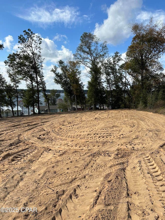 Lot 1 & 2 Lakeshore Dr, Alford, FL 32420 - photo 7