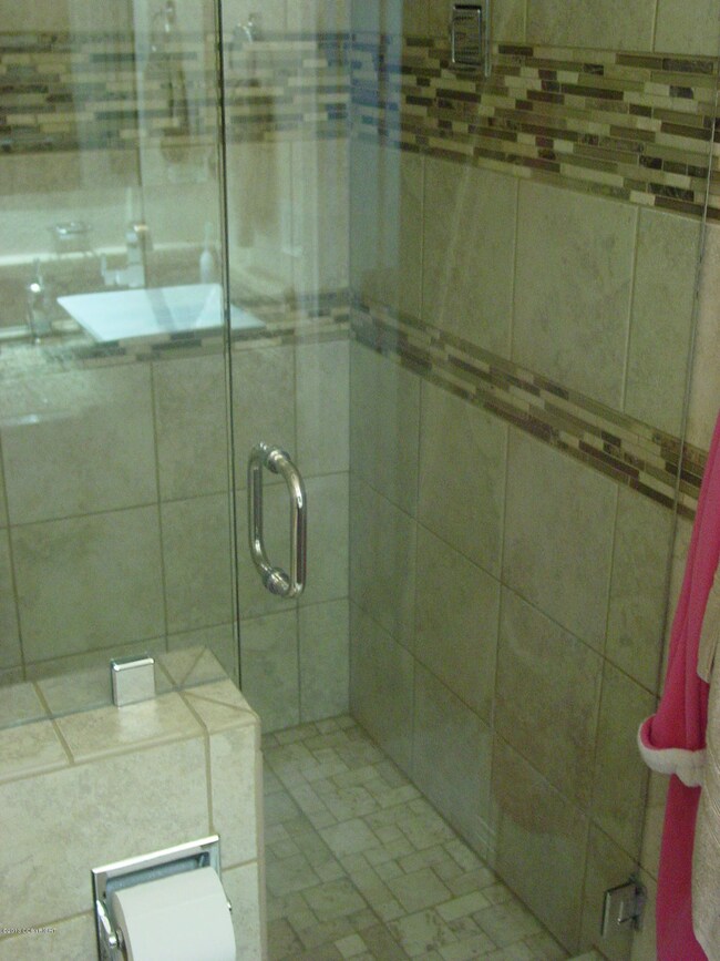 Upgraded Mst. Shower