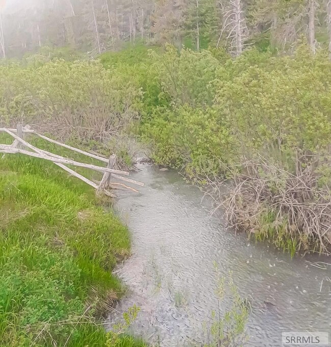 Fish Creek in spring
