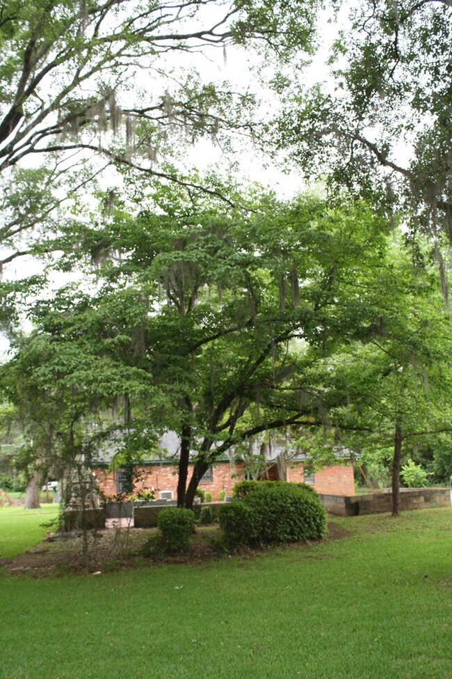 422 Lumpkin St, Albany, GA 31705 - photo 4