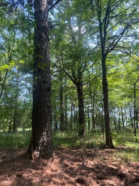 0 Bodcau Station Rd unit 21132913, Haughton, LA 71037 - photo 4