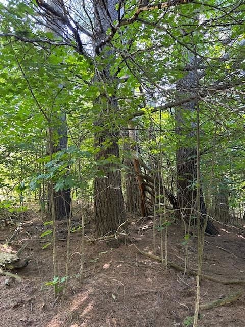 5383 N Conway Rd, Alanson, MI 49706 - photo 6