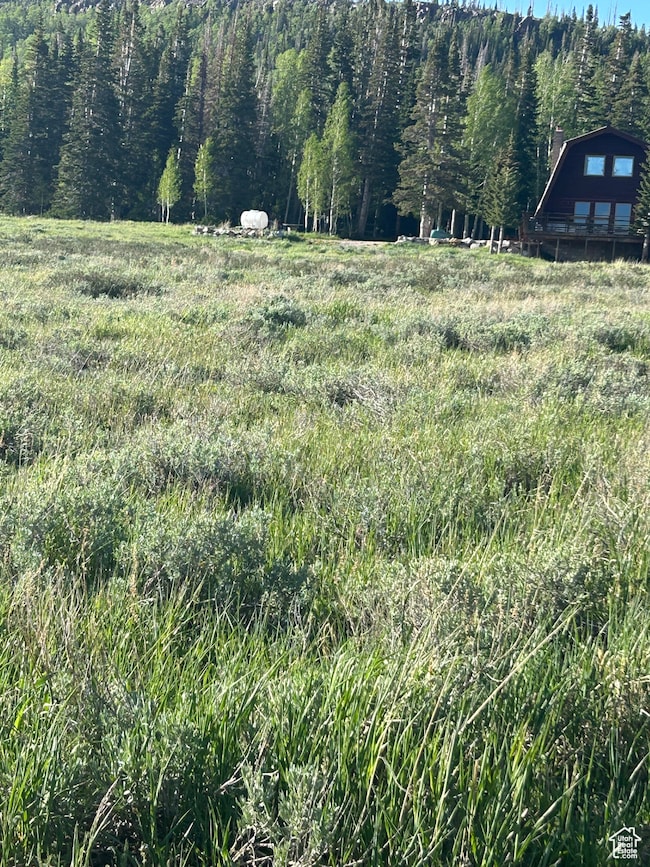 View of yard featuring a view of trees and a rural view