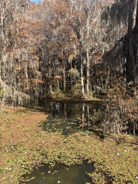 113 Cypress Ln, Cobb, GA 31735 - photo 3