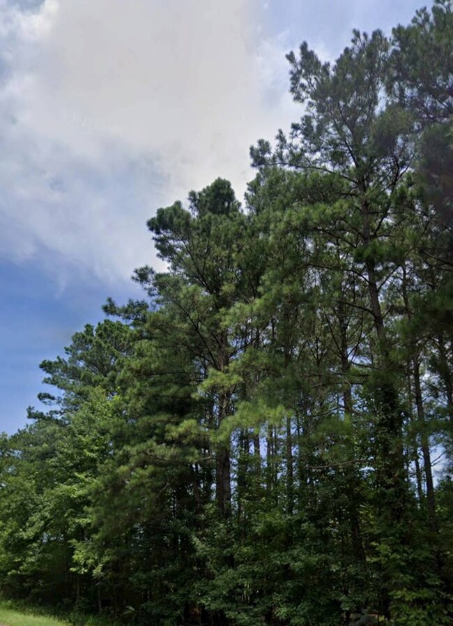 0 Hwys 301 & S-38-82 70 09910024 unit 11418779, Santee, SC 29142 - photo 5