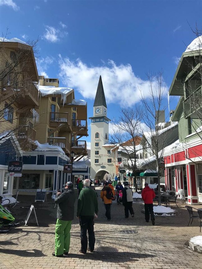 723 Stone House Rd unit F22, Winhall, VT 05155 - photo 4