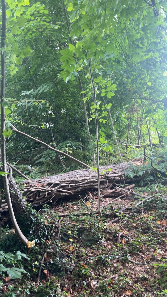 38 Porter Ct, Bristol, CT 06010 - photo 2