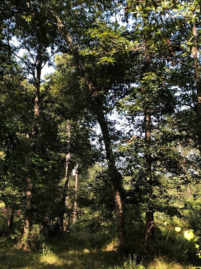 Lot 3 Crossno, Cleveland, TX 77328 - photo 3