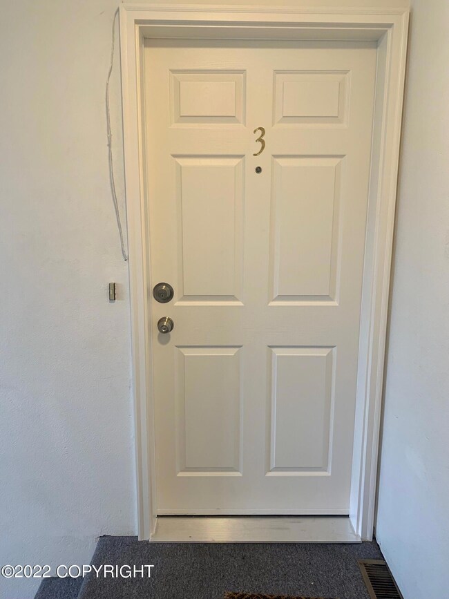 Unit Entry door
